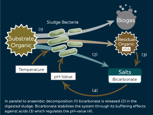 Bicarbonate Analyzer